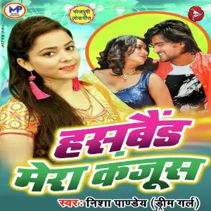 Hasband Mera Kanjus Hai image