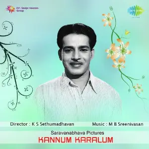 Kannum Karalum image