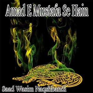Amad-e-Mustafa Se Hain image