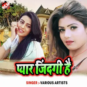 Pyar Jindagi Hai image