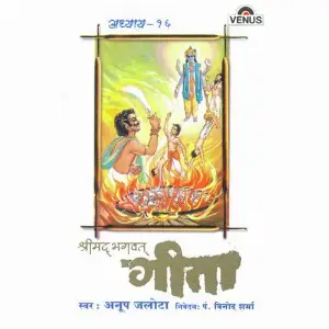 Shreemad Bhagwat Geeta - Vol. 16 image