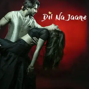 Dil Na Jaane image