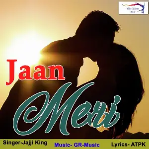 Jaan Meri image