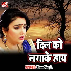 Dil Ko Lagake Hai image