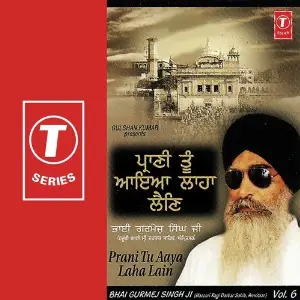 Prani Tu Aaya Laha Lain (Vol. 6) image