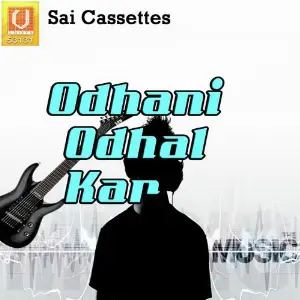 Odhani Odhal Kar image