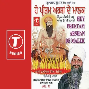 Hey Preetam Arshan De Malek (Vol. 47) image
