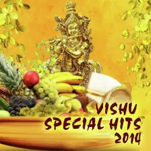 Vishu Special Hits - 2014 image