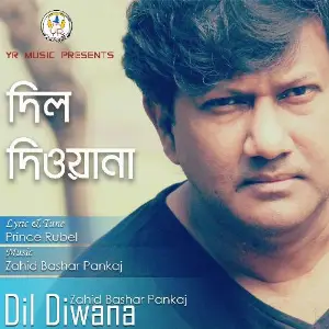 Dil Diwana image