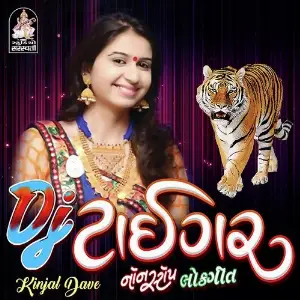 Dj Tiger image