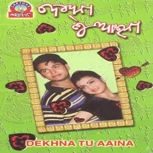 Dekhna Tu Aina image