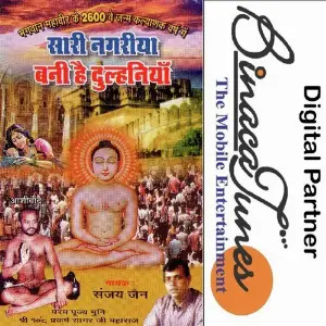Saari Nagariya Bani Hai Dulhaniya image