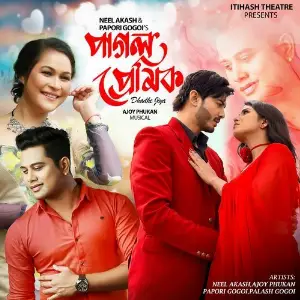 PAGOL PREMIK (Dhadke Jiya) image