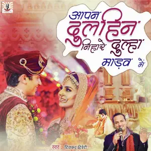 Aapan Dulhaiyn Nihare Dulha Madhav Me image