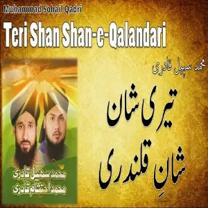 Teri Shan Shan-e-Qalandari image