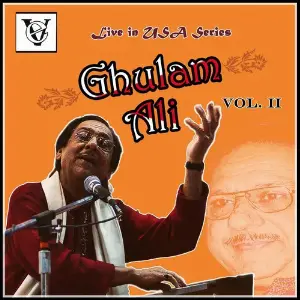 Live In Usa, Vol. 2 image