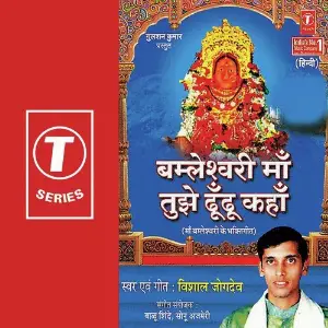 Bamleshwari Maa Tujhe Dhoond image