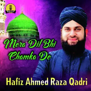 Mera Dil Bhi Chamka De image