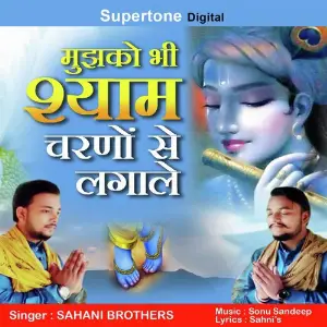 Mujhko Bhi Shyam Charno Se Laga Le image