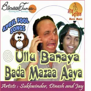 Ullu Banaya Bada Maza Aaya image