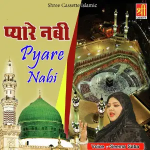 Pyare Nabi image