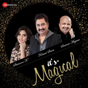 Tum Mile Kumar Sanu, Shannon K