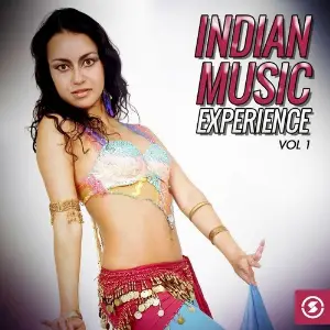 Indian Music Experience, Vol. 1 image