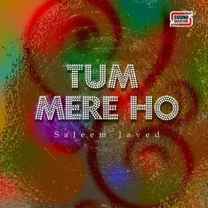 Tum Mere Ho image