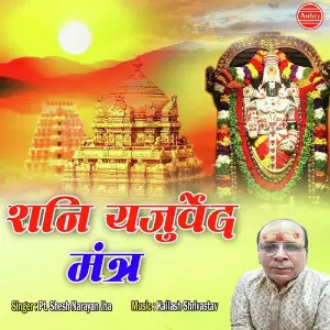Shani Yajurveda Mantra image