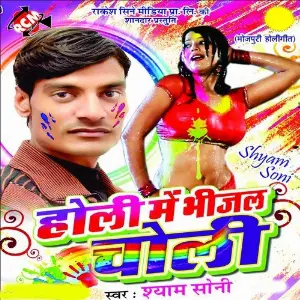 Holi Me Bhijal Choli image