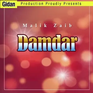 Damdar image