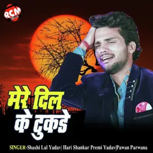 Mere Dil Ke Tukre image