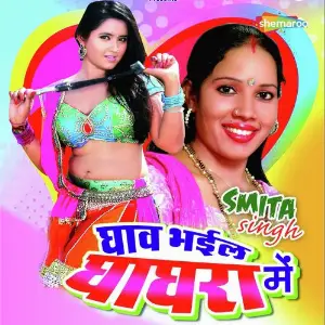 Ghaav Bhail Ghaghra Me image