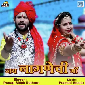 Jai Nagnechi Maa image