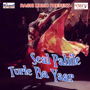 Seal Pahile Turle Ba Yaar image