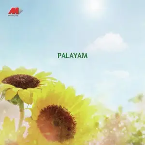 Palayam image