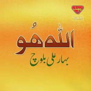 Allah Hu, Vol. 9 image