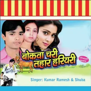 Bokwa Chari Tohar Hariyali image