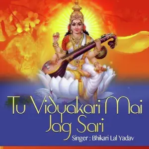 Tu Vidyakari Mai Jag Sari image