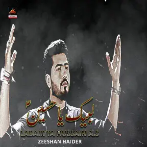 Labaik Ya Hussain a.s image