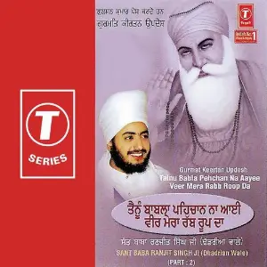 Tainu Babal Pehchan Na Aayee Veer Mera Rabb Roop Da (Part 2) image