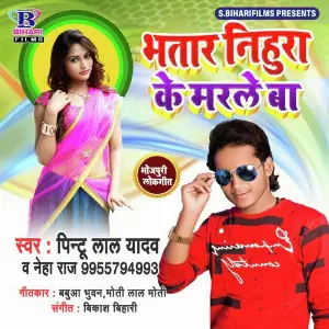 Bhatar Nihura Ke Marle Ba image