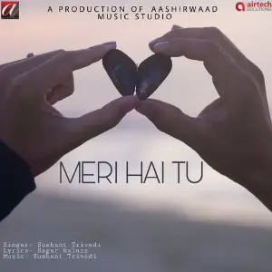 Meri Hai Tu image