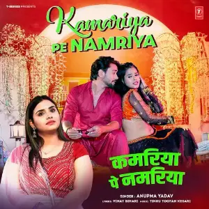 Kamariya Pe Namriya image