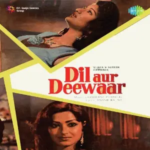 Dil Aur Deewar image