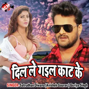 Dil Le Gail Kat Ke image