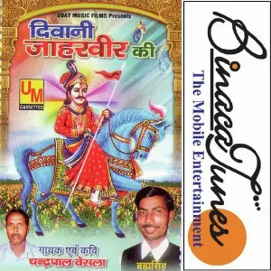 Diwani Baba Jaharveer Ki image