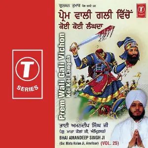 Prem Wali Gali Vichon Koi Koi Langda (Vol. 25) image