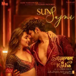 Sun Sajni (From Satyaprem Ki Katha) image