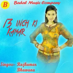 13 Inch Ki Kamar image